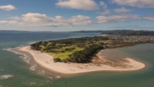 richardsons real estate matarangi